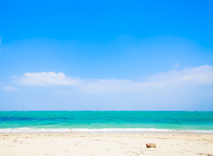 tn-okinawa